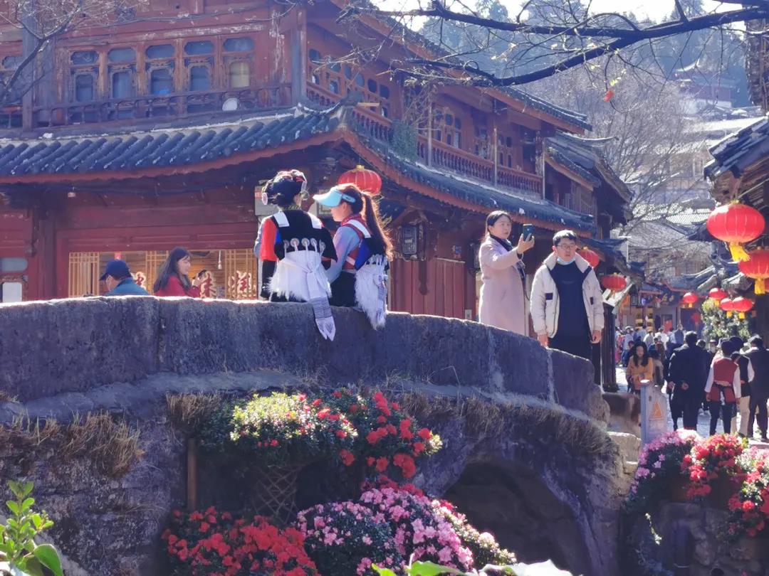 來麗江古城，感受花團錦簇、欣欣向榮