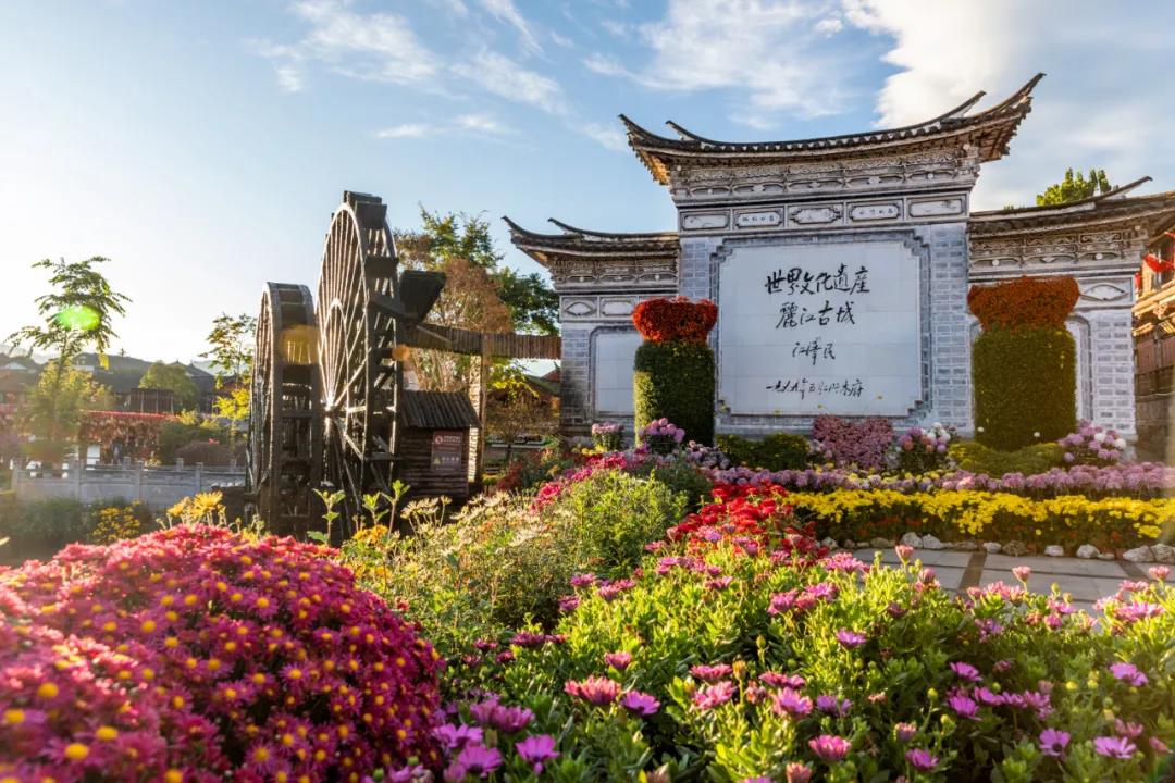 她們是麗江的“女神”，同意嗎？
