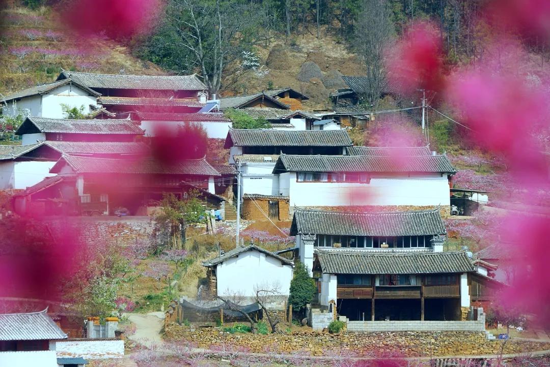 “郭靖”、“黃蓉”喊你來“桃花島”過日子……