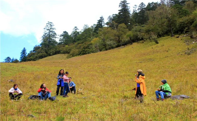 麗江春季旅游指南，每一處都能讓你朋友圈“炸鍋”！