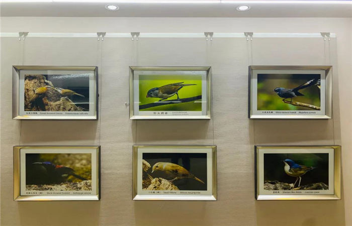多維度展示滇西北生物多樣性！麗江這個中心值得一去