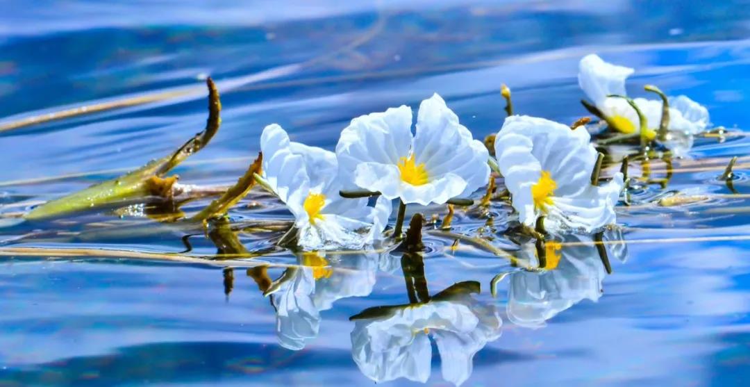 糟糕！瀘沽湖的“水性楊花”，讓我有了心動的感覺！