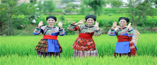 相約水鄉，邂逅激情！華坪縣新莊鄉首屆鄉村旅游節即將開幕