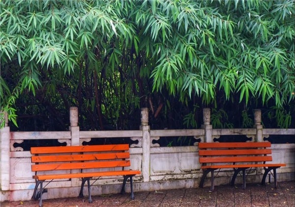煙雨繚繞，黑龍潭與詩平分秋色