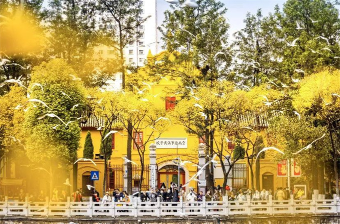 麗江旅游攻略：來云南邂逅不一樣的冬天，體驗麗江非遺文化