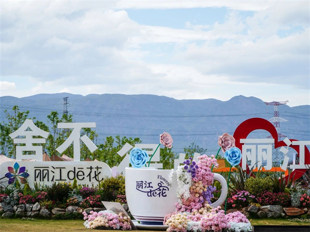 云南旅游,云南旅行社,云南團建公司,云南策劃公司,云南會議會展公司,麗江旅游,麗江旅行社,麗江團建公司,麗江策劃公司：愛上麗江的理由，從一朵花開始